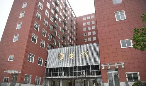 成人教育专家视频号,专家视频号带你探索终身学习之道