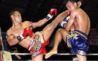 成人搏击护胸视频大全集,视频大全集精华汇总