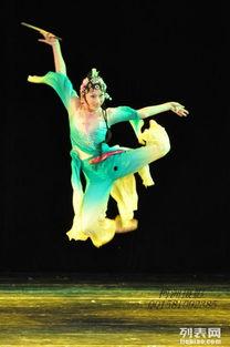 蒲扇舞蹈成人教学视频,成人教学视频深度解析