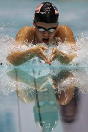 游泳成人活动视频,成人游泳活动精彩瞬间回顾